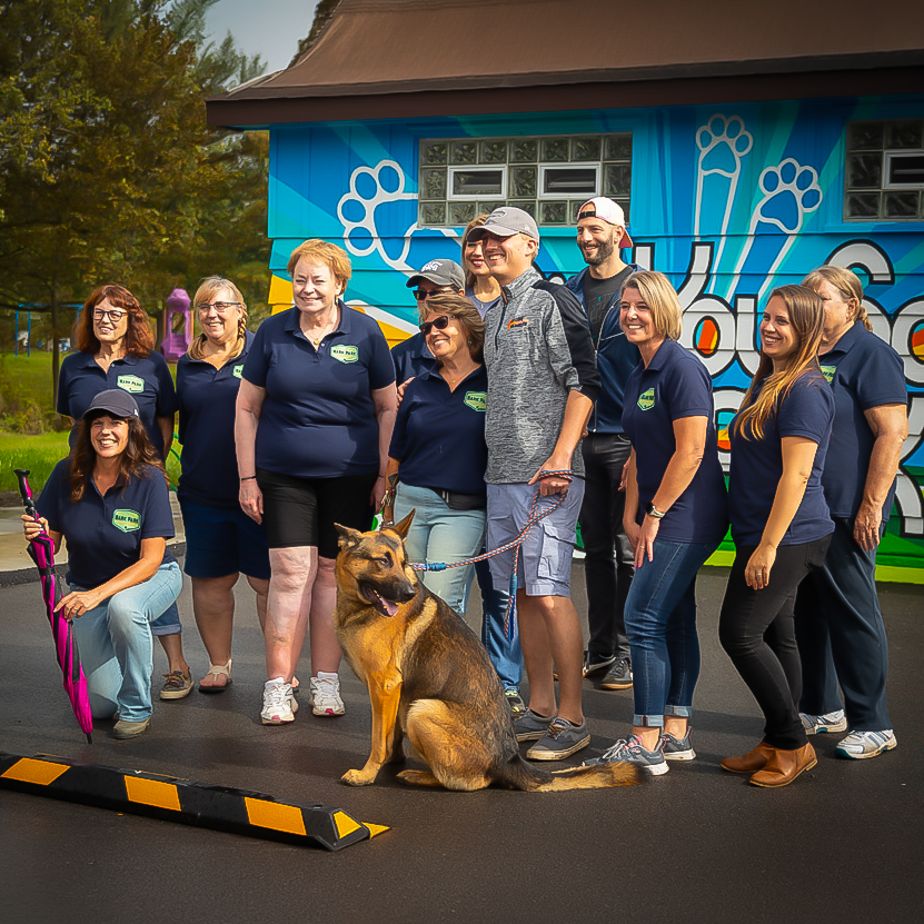 Photo of Dogs and people